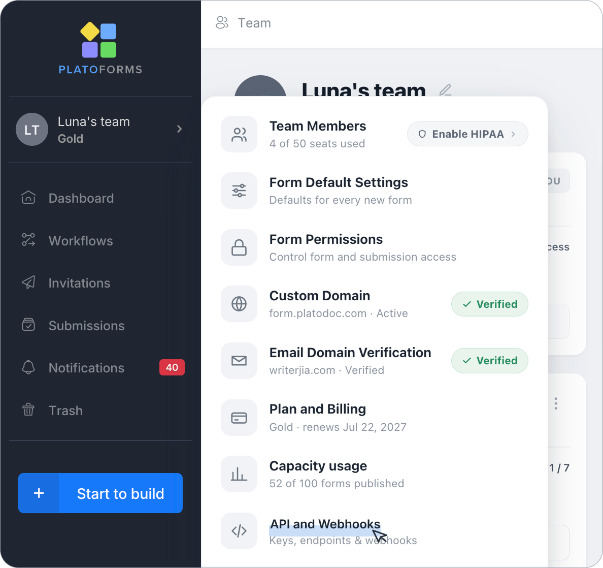Team menu with API and Webhooks highlighted