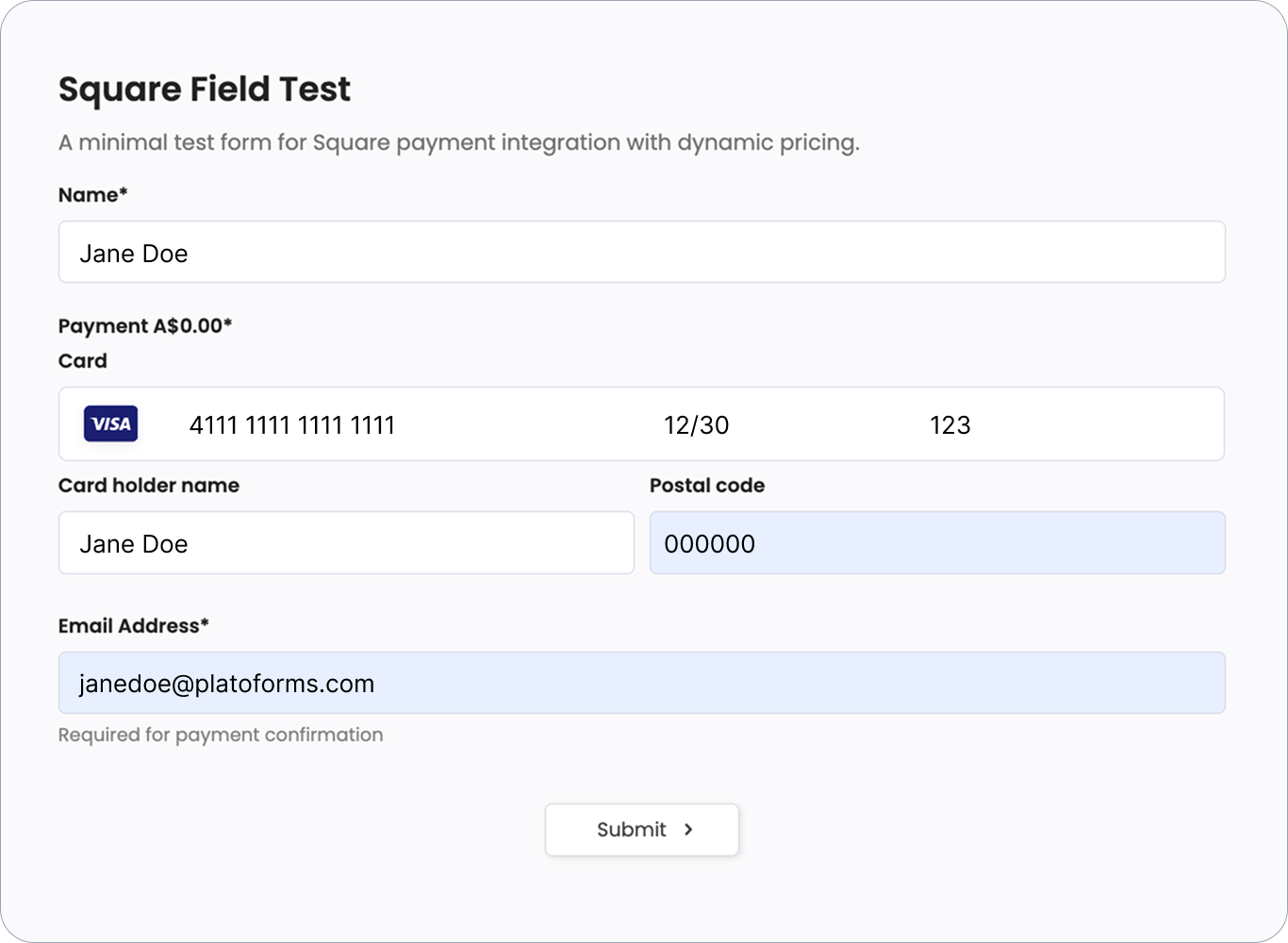 Fill in card details in the square field